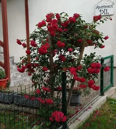 Апартаменты Dil Кулен Вакуф