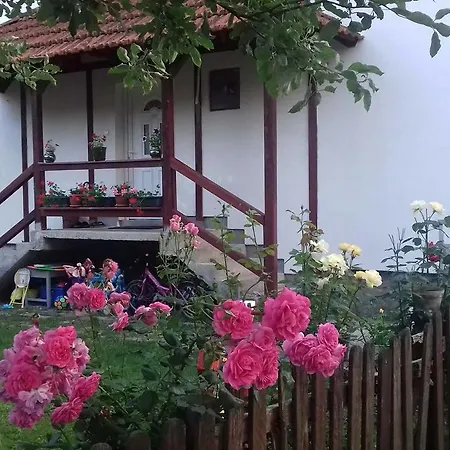 Dil Apartman Kulen Vakuf